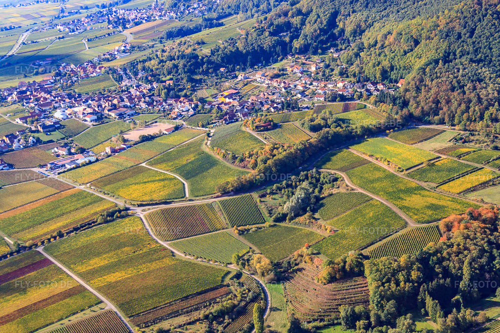 Luftbild: Modenbachtal und Burrweiler Mühle in Burrweiler im Bundesland Rheinland-Pfalz in Deutschland. Foto: IMG_22204.jpg vom 15.10.2009 durch Werner Riehm/FLY-FOTO.de