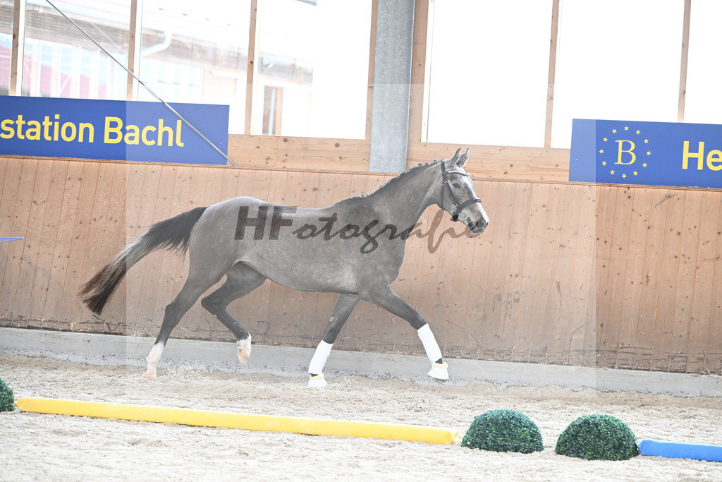Kat-Nr. 66 Daytona v. Christ_Hoffmann_7241311 | hf-fotografie - Realizzato con Pictrs.com