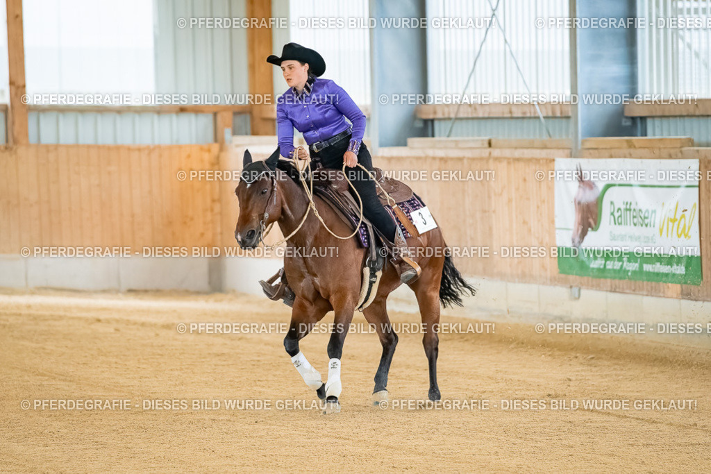 DSC07705 | Pferdegrafie