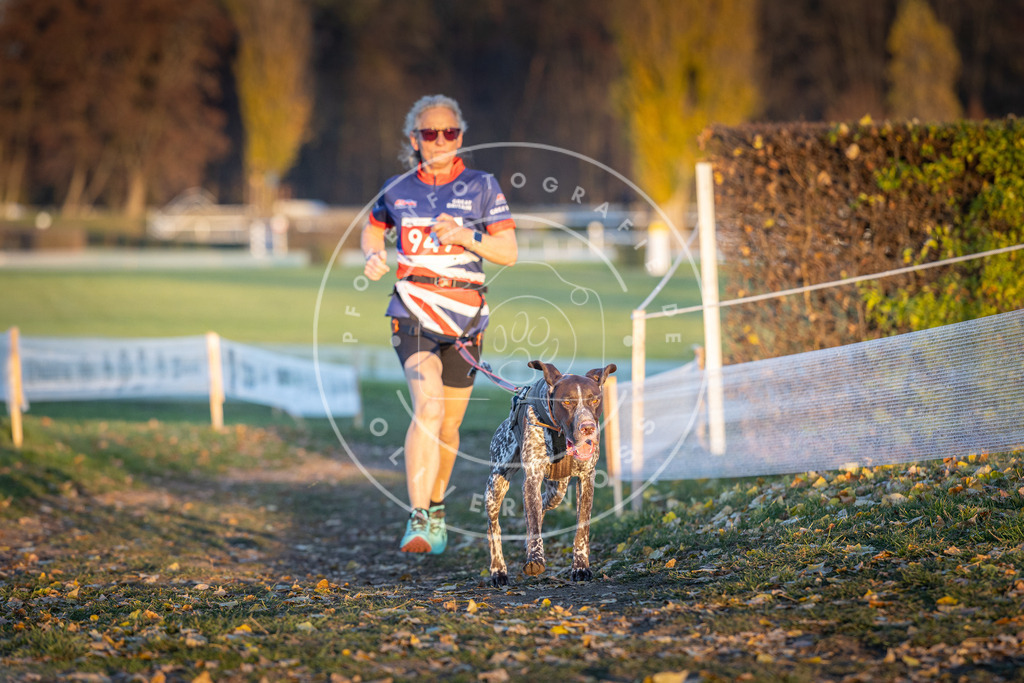 CaniXpix_DV3A5559 | Hundefotografie, Tierfotograf, Pfotenfotografie, Fotoshooting Hund, Hunde Portrait, Hundesport, Hundeportraits, Heideshooting, Hunde, Sportfotograf, Hundefotograf, Turnierhundsport, THS,  - Realisiert mit Pictrs.com