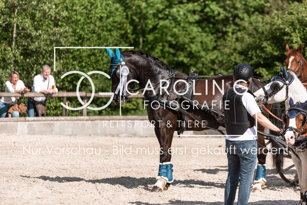DSC_2418 | Turnierfotografin Carolin Gieschke, Turnierfotografie Carolin G Fotografie, Turnierfotos Kirchheim/Teck, Esslingen, Stuttgart, Bodenseekreis