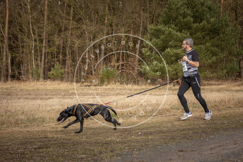 DV3A4048 | Hundefotografie, Tierfotograf, Pfotenfotografie, Fotoshooting Hund, Hunde Portrait, Hundesport, Hundeportraits, Heideshooting, Hunde, Sportfotograf, Hundefotograf, Turnierhundsport, THS,  - Realisiert mit Pictrs.com