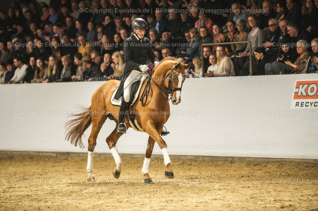 20240302_Hengstvorstellung_Marbach_TOMsPiC_0953-2 | equistock