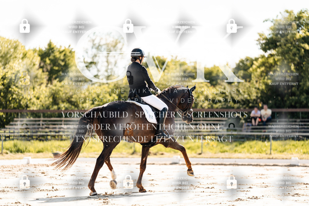 CK909157 | Turnierfotografie Pferdefotografie Trier Rheinland-Pfalz Pferdesport Reitsport Tierfotografie Sportfotografie Pferdevideo Pferdevideografie Equestrianvideography equestrianphotography  - Realisiert mit Pictrs.com