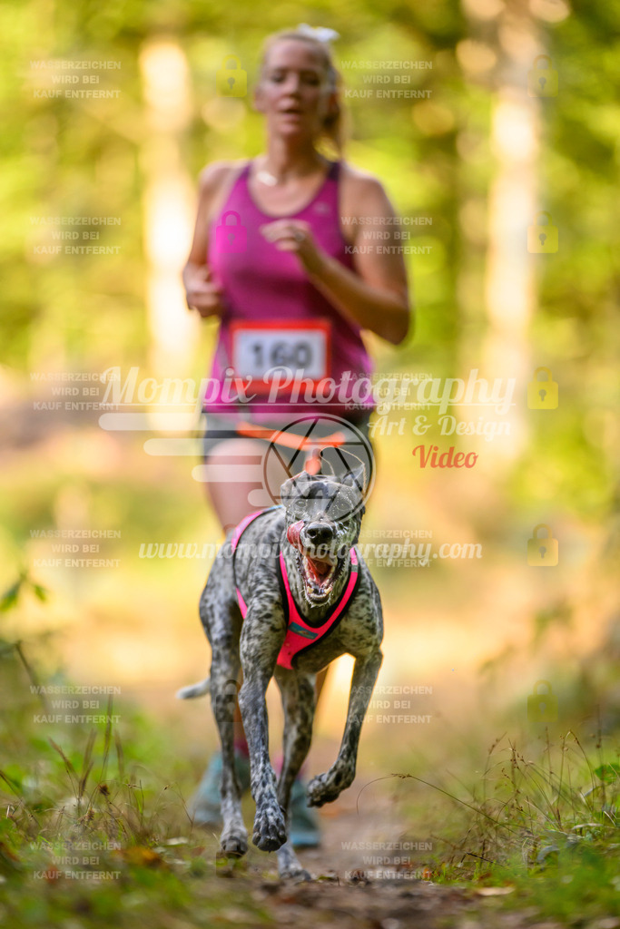 MompixPhotography_Yens2025_B3-207 | PayLife