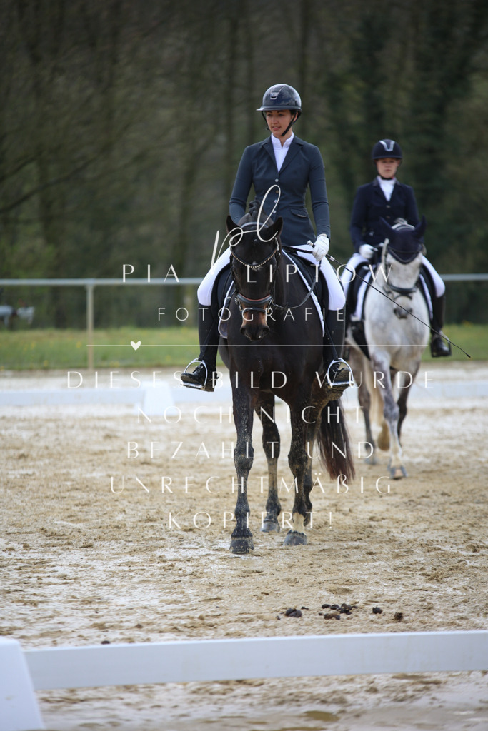 IMGT2832 | pl-fotografie