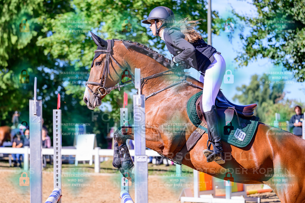 30082026-Giesenbach-Prfg16-0312 | Fokus Hufschlag Fotografie - Realisiert mit Pictrs.com