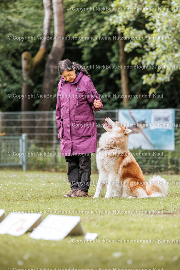 RO-Blumenthal-2026-Nickbest-Hundefotografie-2102 | Dein Hund! Dein Moment! Deine Erinnerungen! Hundefotografie in Bremen Blumenthal. Ich fange die besonderen Momente deines Vierbeiners ein – ob Indoor mit Blitzanlage oder in der freien Natur. Sicher dir dein Moment und dein Termin für eure Erinnerungen.