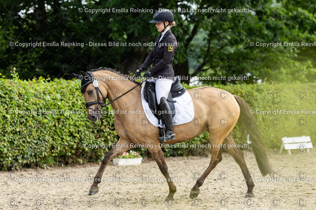 CL5A5252 | Emilia Reinking Fotografie - Realisiert mit Pictrs.com