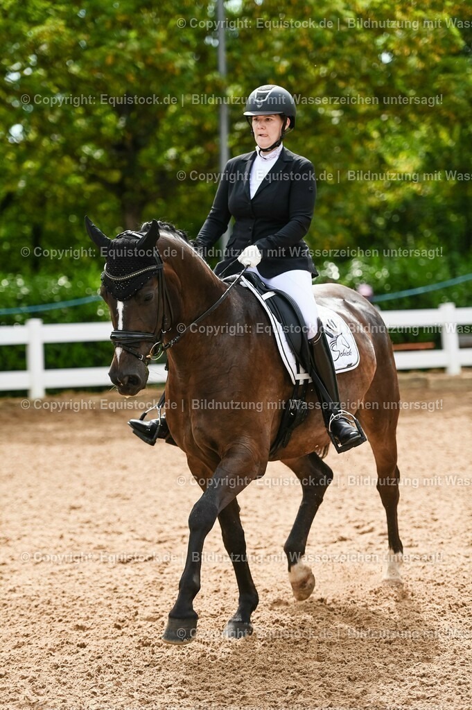 20230715_07_Dressurpferdeprfg. Kl.L_0112 | equistock