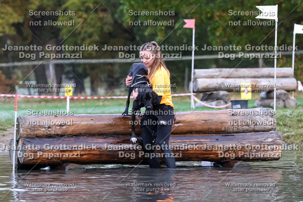 Dog Paparazzi - Strongdog 10-25-6319 | Dog Paparazzi Jeanette Grottendiek Fotografie & Videografie - Realisiert mit Pictrs.com