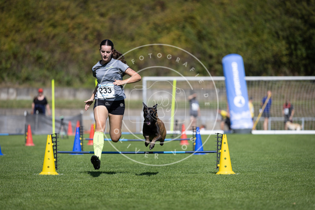 Pfotenfotografie_DV3A5756 | Hundefotografie, Tierfotograf, Pfotenfotografie, Fotoshooting Hund, Hunde Portrait, Hundesport, Hundeportraits, Heideshooting, Hunde, Sportfotograf, Hundefotograf, Turnierhundsport, THS,  - Realisiert mit Pictrs.com