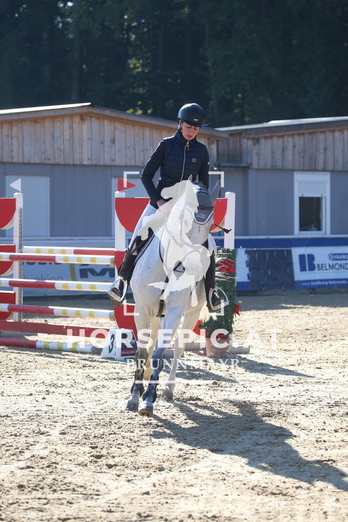 DL2Q1533 | Willkommen bei Brunnmayr - Design & Fotografie – Ihrem Spezialisten für Reitturniere und Pferdeveranstaltungen in Oberösterreich, Salzburg und Bayern! Seit über 17 Jahren sind wir leidenschaftlich dabei.