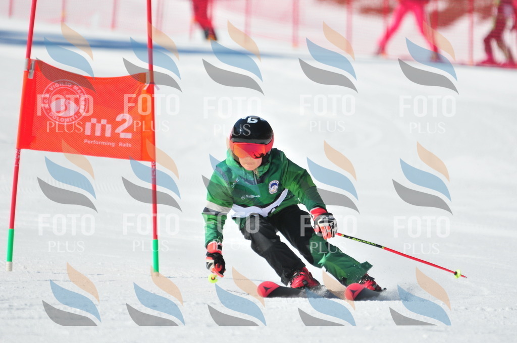 C3163 | holidayphoto