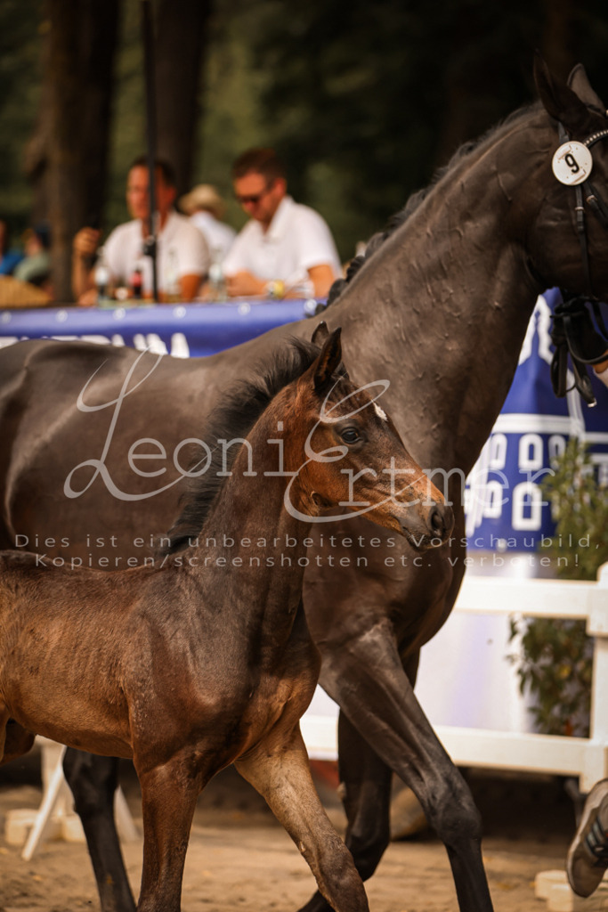 SaPA00131 | Leoni Ertmer Photography - Realisiert mit Pictrs.com