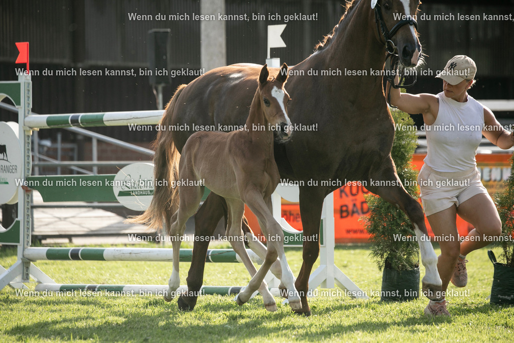 598A7207 | photographylinaismer - Realisiert mit Pictrs.com
