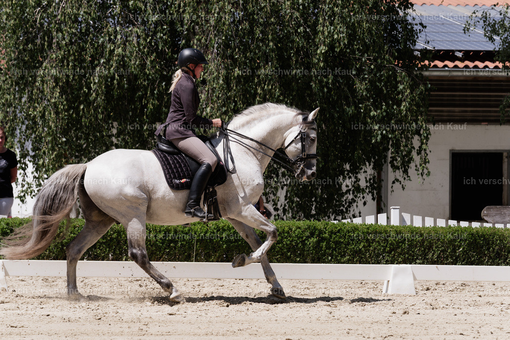 WS_DR_83_sinafilmart_IN08861 | working equitationturnier fotograf videograf stoibphotography marixx film working equitation deutschland reitsport turnierfotografie eventfotografie equestrian events