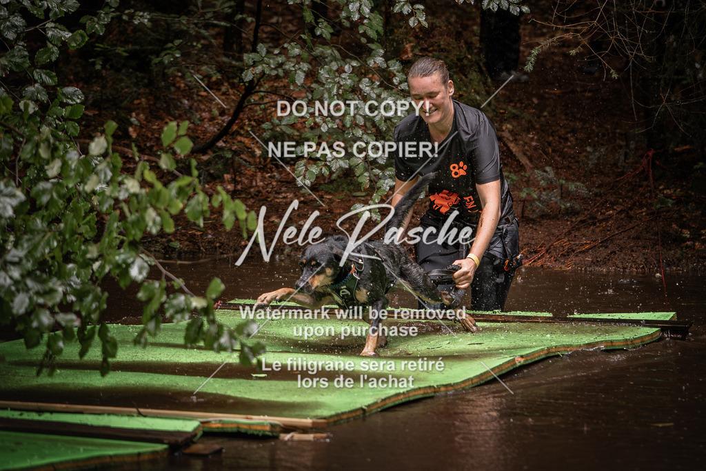 nelerasche_Wingst_Sa1330-1400_134 | nelerasche