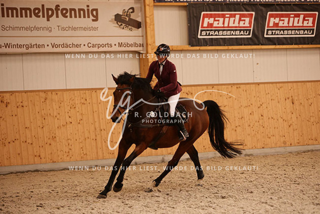 1J2A9795Juliane Weihs_ Hell Boy van de Zuuthoeve Z_ Kn278_ Glantz_ Hohen Wieschendorf | Foto- und Videografie für alles rund ums Pferd. Hochwertige Bilder und Videos vom Spring- und Dressurreiten, Voltigieren & mehr. Jetzt aktuelle Veranstaltungen und Preise im Shop ansehen. - Realisiert mit Pictrs.com