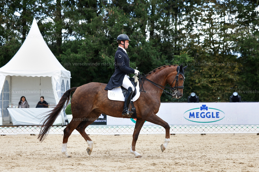 10-015-ST.GEORG SPECIAL -StoibPH-3209 | working equitationturnier fotograf videograf stoibphotography marixx film working equitation deutschland reitsport turnierfotografie eventfotografie equestrian events