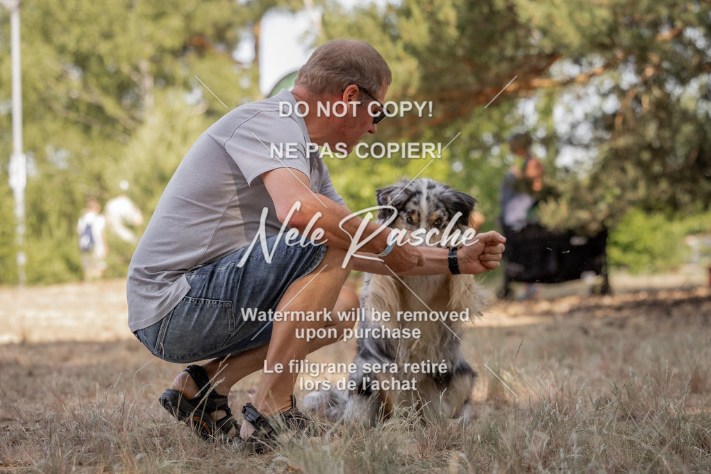 nelerasche_soDD2_107 | nelerasche