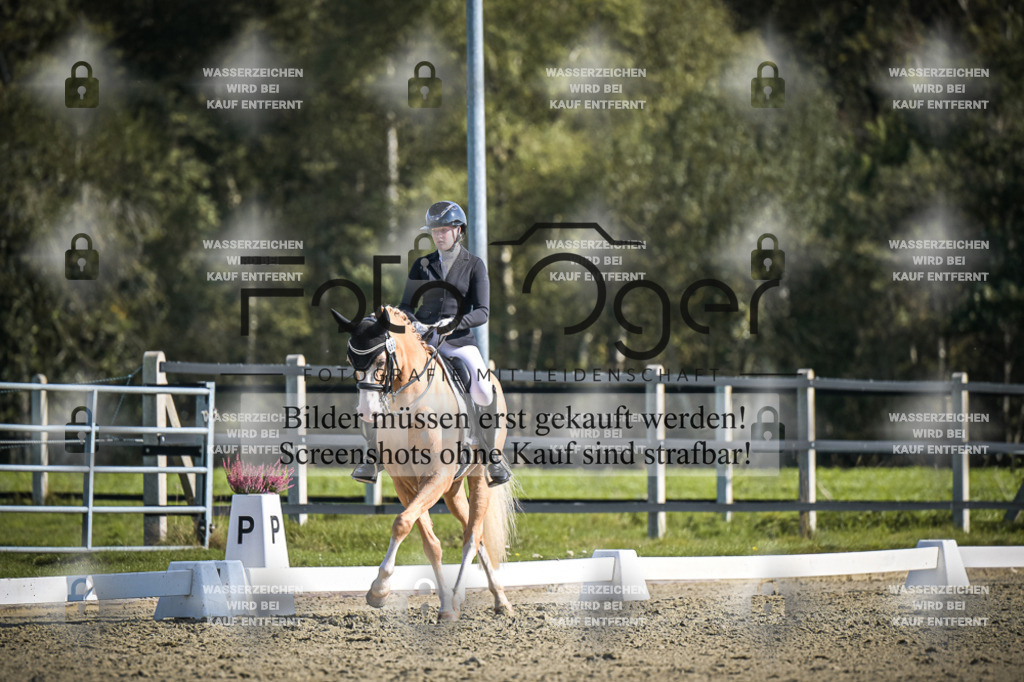 DOS_2146 | Entdecke hochwertige Reitturnierfotos von Foto Oger. Professionell, emotional und authentisch – jetzt Lieblingsmomente im Shop bestellen.Deutschlandweite Turnierfotografie. - Realisiert mit Pictrs.com