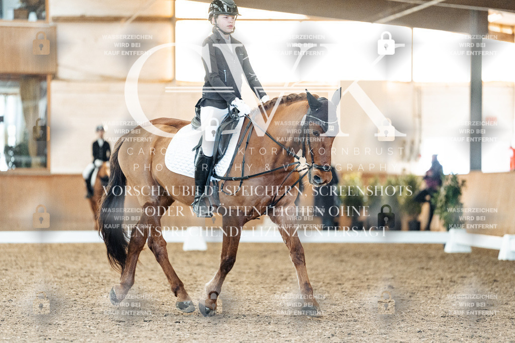 CK907729 | Turnierfotografie Pferdefotografie Trier Rheinland-Pfalz Pferdesport Reitsport Tierfotografie Sportfotografie Pferdevideo Pferdevideografie Equestrianvideography equestrianphotography  - Realisiert mit Pictrs.com