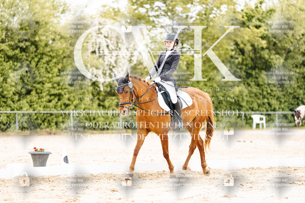CK902995 | Turnierfotografie Pferdefotografie Trier Rheinland-Pfalz Pferdesport Reitsport Tierfotografie Sportfotografie Pferdevideo Pferdevideografie Equestrianvideography equestrianphotography  - Realisiert mit Pictrs.com