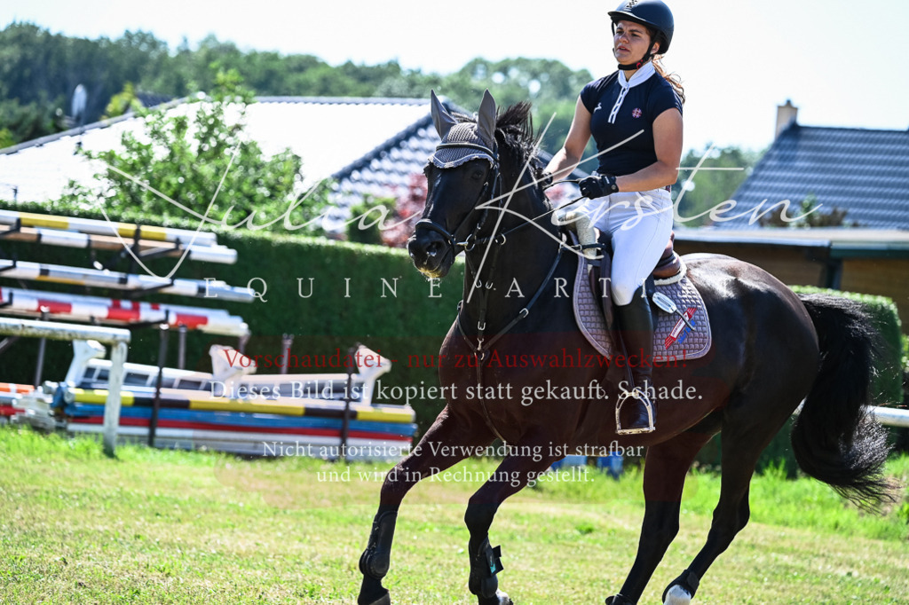 DSC_1047 | Pferde- und Turnierfotografie in Westsachsen. Pferdeportraits, Auftragszeichnungen und intuitive Kunst.