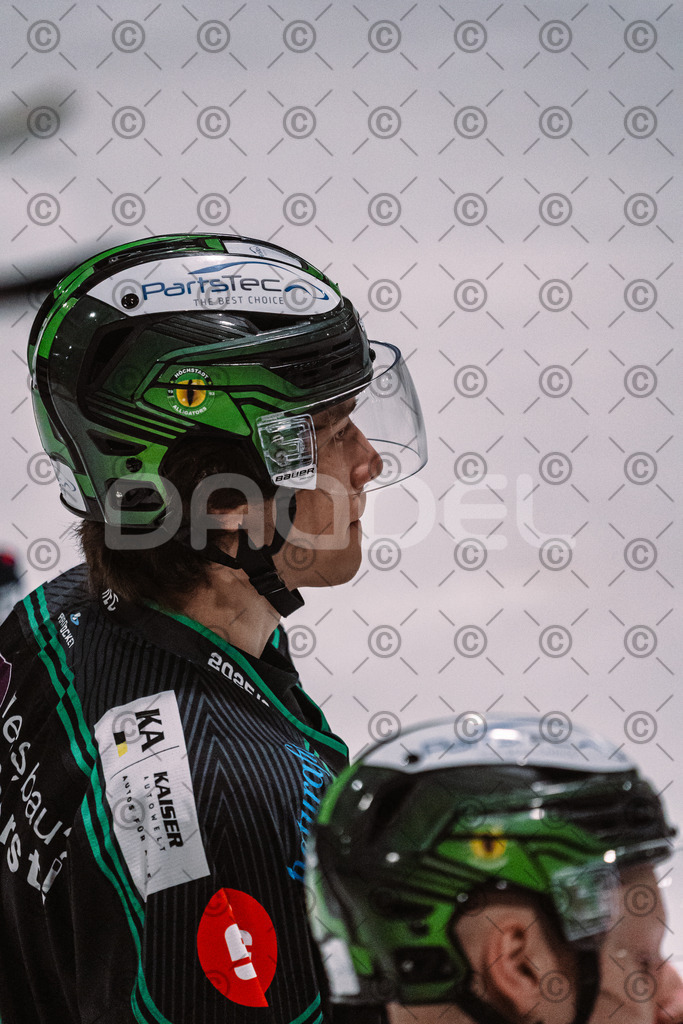 Alligators_vs_Bayreuth_16_01_2026-05 | Höchstadt Alligators Fotogalerie: Eishockey-Action aus Franken. Professionelle Spielfotos, Portraits & Stadionbilder zum Download. Jetzt entdecken! - Realisiert mit Pictrs.com