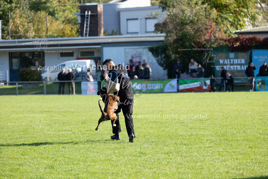 _16A5106 | Einzigartige Fotos von Hunden & Menschen –Actionfotos, Portraits, Vereinsaufnahmen & Paarshootings – authentisch, lebendig & mit Herz.
