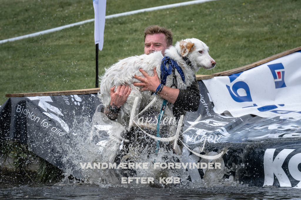 1130_ZZ92732 | kk-dogfotos