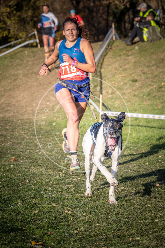 CaniXpix_0L8A9599 | Hundefotografie, Tierfotograf, Pfotenfotografie, Fotoshooting Hund, Hunde Portrait, Hundesport, Hundeportraits, Heideshooting, Hunde, Sportfotograf, Hundefotograf, Turnierhundsport, THS,  - Realisiert mit Pictrs.com