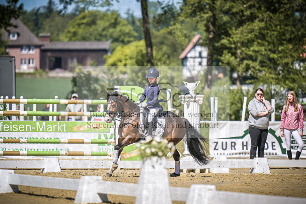 DOS_8563 | Entdecke hochwertige Reitturnierfotos von Foto Oger. Professionell, emotional und authentisch – jetzt Lieblingsmomente im Shop bestellen.Deutschlandweite Turnierfotografie. - Realisiert mit Pictrs.com