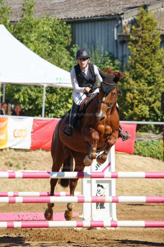 JHE_3692 | JoYa Fotografie - Realisiert mit Pictrs.com