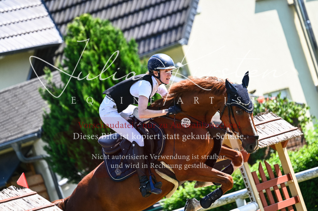 DSC_1181 | Pferde- und Turnierfotografie in Westsachsen. Pferdeportraits, Auftragszeichnungen und intuitive Kunst.