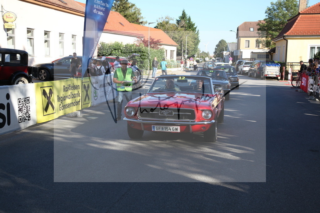 IMG_5156 | Gerhard Witt