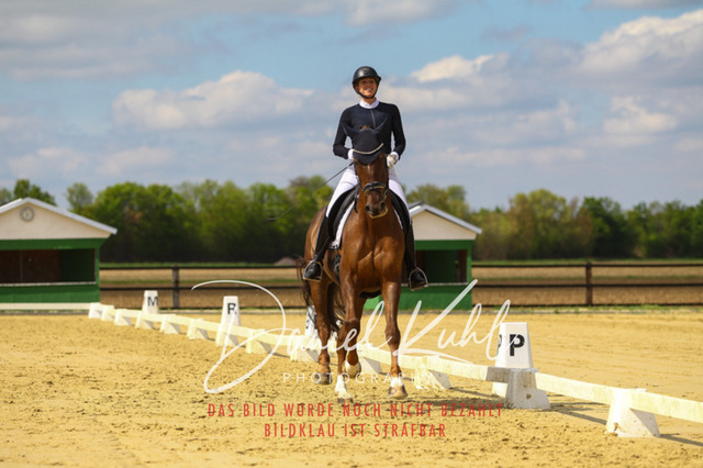 DKP43174 | Turniersportfotografie; Pferdefotografie; Dressurfotografie