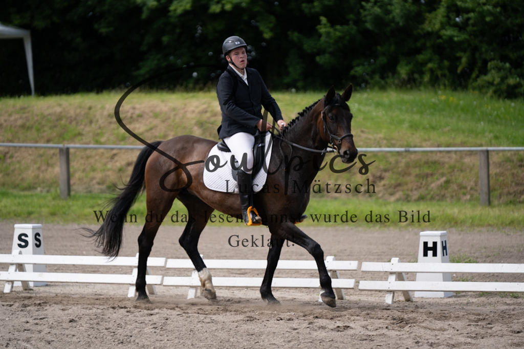 A7V02683 | Pferdefotograf