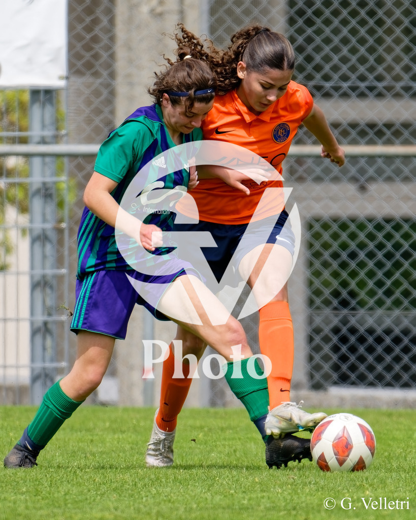 DSC_4859 | Velletri Photo