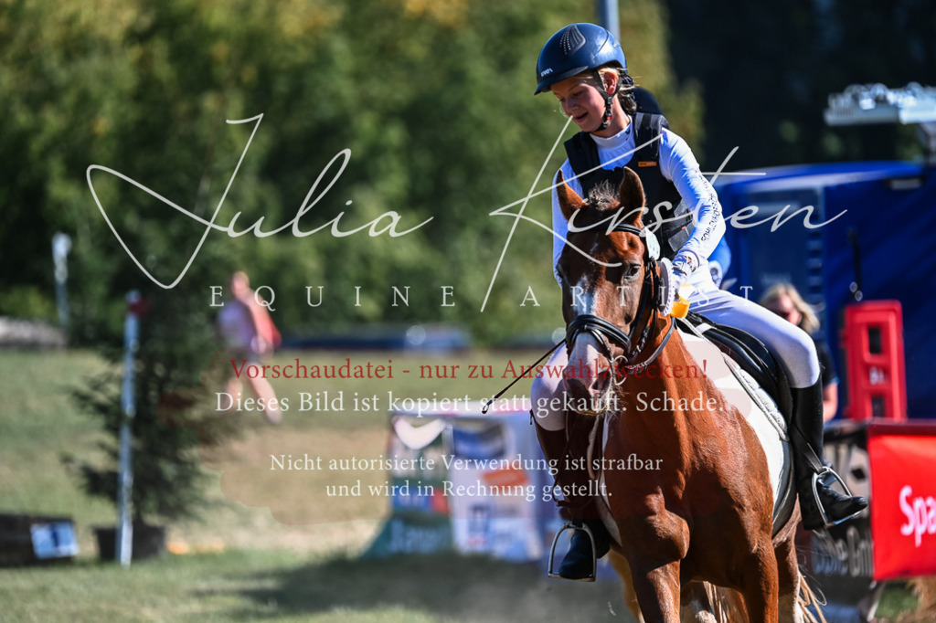 DSC_7037 | Pferde- und Turnierfotografie in Westsachsen. Pferdeportraits, Auftragszeichnungen und intuitive Kunst.