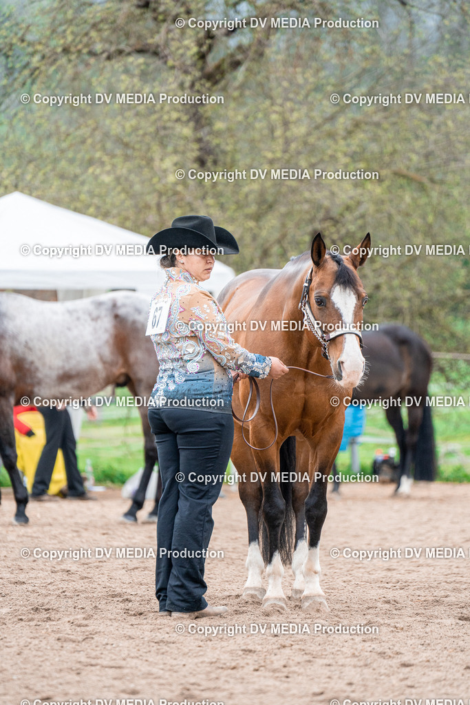 BA300228 | dv-media-shop - Realisiert mit Pictrs.com