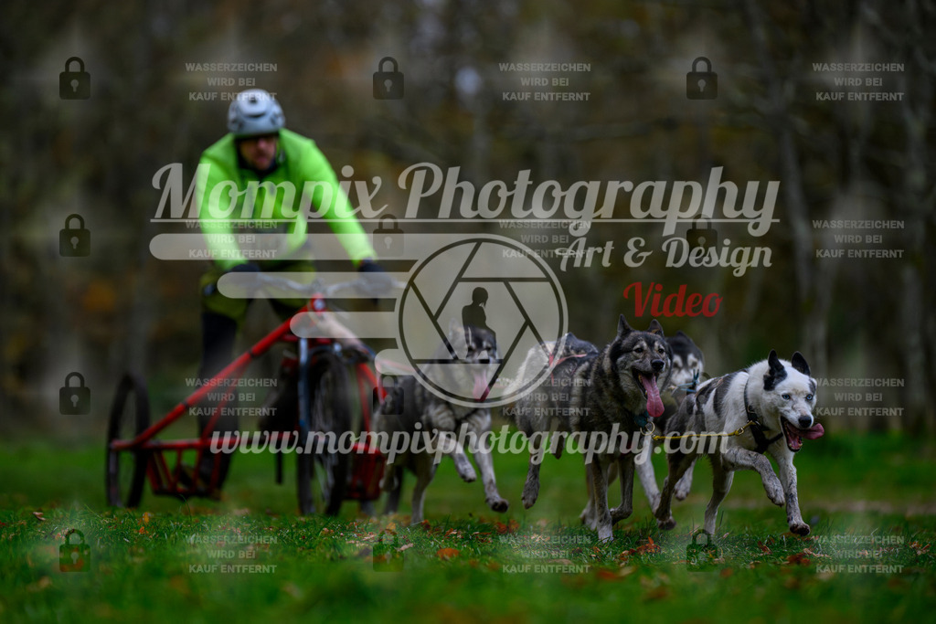 MompixPhotography_Bischwiller24_SA_Kart-13 | PayLife