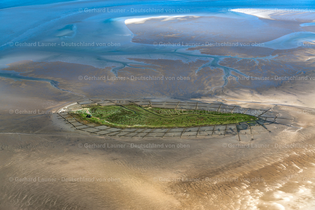 3801910 | Vogelfreistätte Hallig Norderoog, Nationalpark Schleswigholsteinisches Schleswig-Holsteinisches Wattenmeer