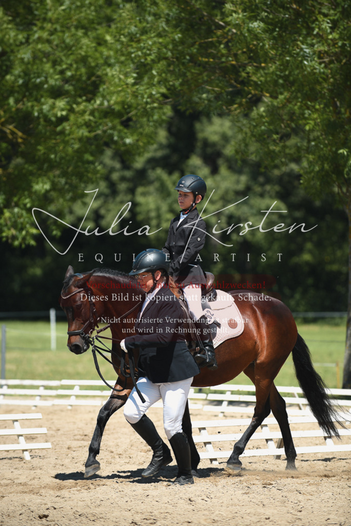 DSC_1795 | Pferde- und Turnierfotografie in Westsachsen. Pferdeportraits, Auftragszeichnungen und intuitive Kunst.