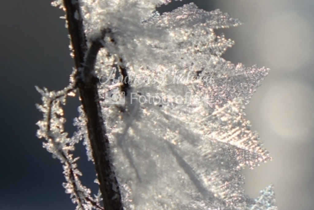 20210211_100714 | Der Onlineshop für malerische Fotografien aus dem Landkreis Vechta✅ Premium Druck auf Leinwand✅ Acryl✅ oder Alu-Dibond✅➤Jetzt Bestellen! - Realisiert mit Pictrs.com