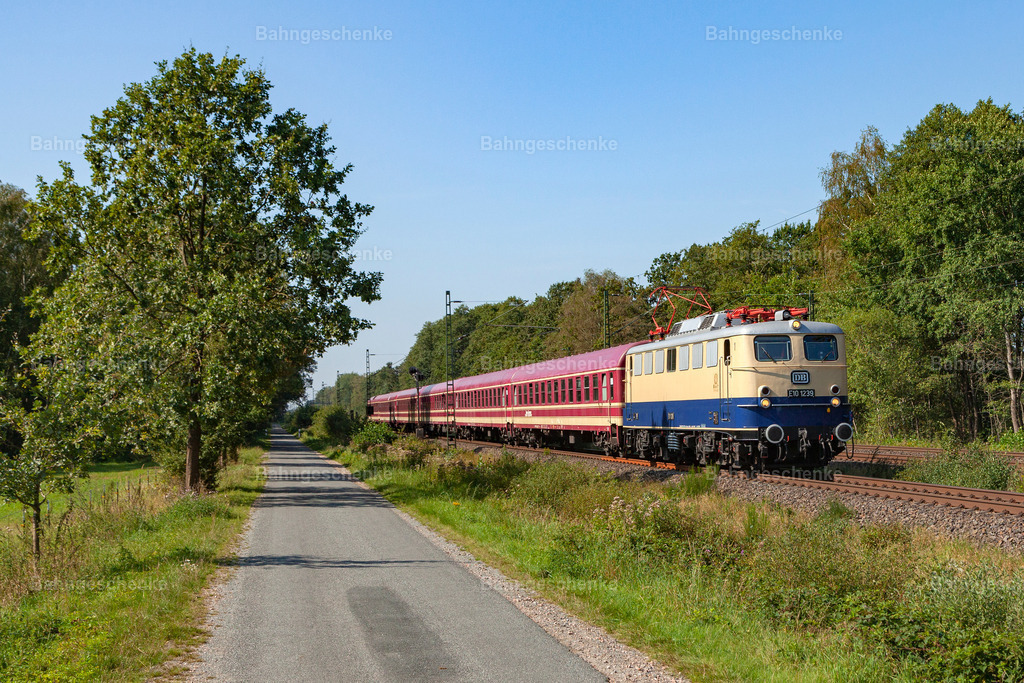 DB110239Dreihausen1p310819 | Stöbern Sie durch einzigartige Aufnahmen und finden die perfekte Aufnahme für jeden Eisenbahnentheusiast! Stellen Sie sich aus einer Reihe von Möglichkeiten wie der Druck auf Leinwände, Fotoposter, Kalender oder Magnetfotos Ihr Geschenk zusammen - Realisiert mit Pictrs.com