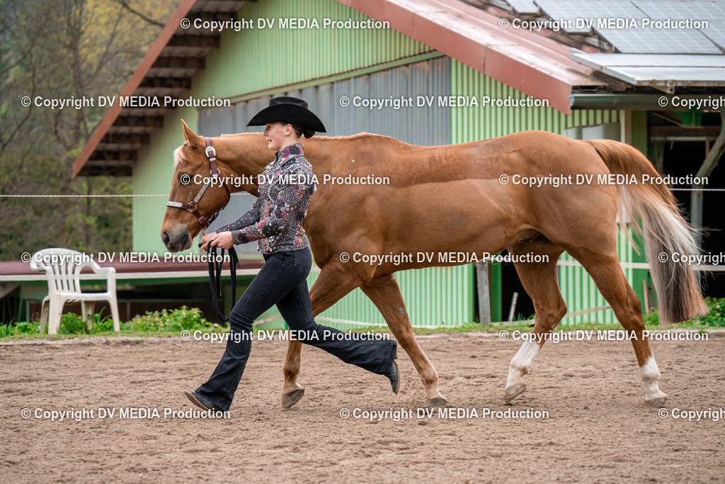 BA300095 | dv-media-shop - Realisiert mit Pictrs.com