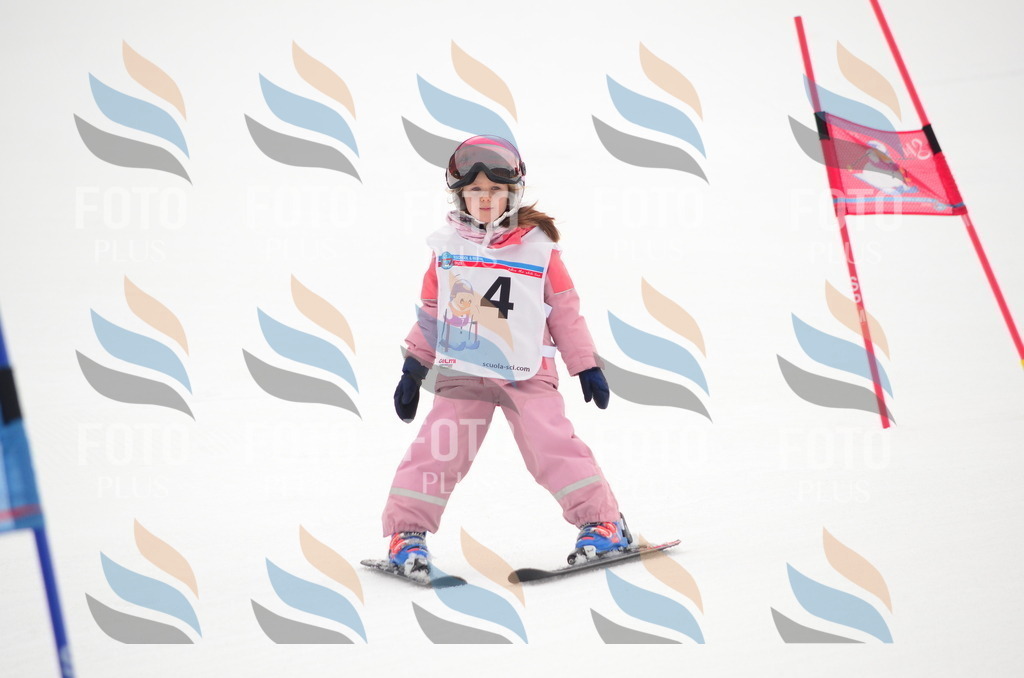 B9212 | holidayphoto