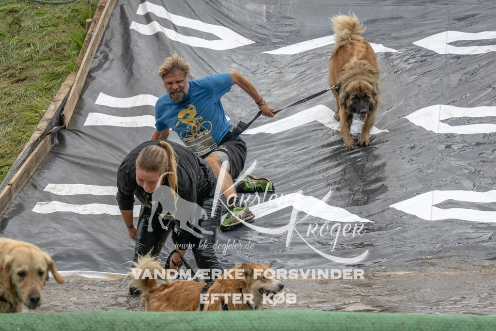 1551_ZZ91117 | kk-dogfotos